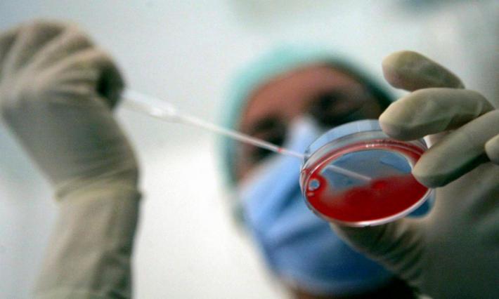 Eterologa, 180 coppie in attesa a Parma