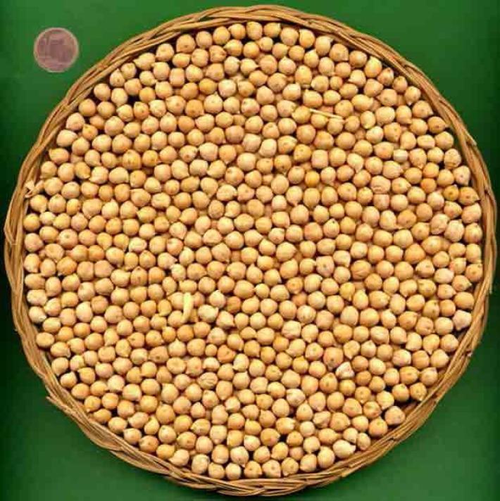 Il consumo di proteine vegetali &egrave; il segreto per invecchiare in salute 