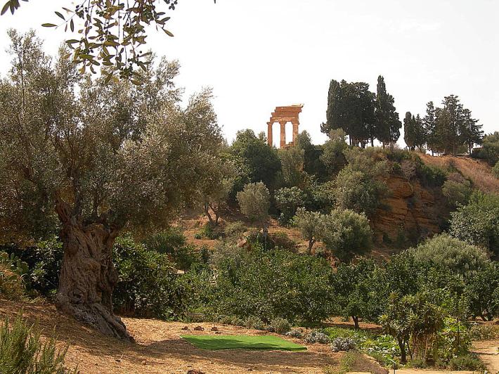 Tornano i Luoghi del cuore del  Fai, tra vette e siti della salute