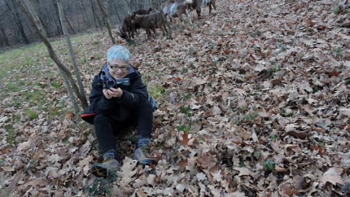 Anna Kauber, da Raitre alla Mimosa d'oro