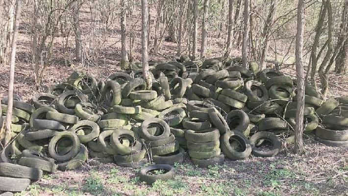 Discarica abusiva di pneumatici scoperta in un bosco sulle colline
