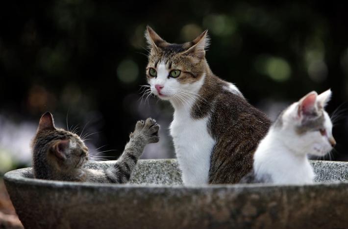 Cosa si pu&ograve; nascondere  &laquo;sotto&raquo; le unghie