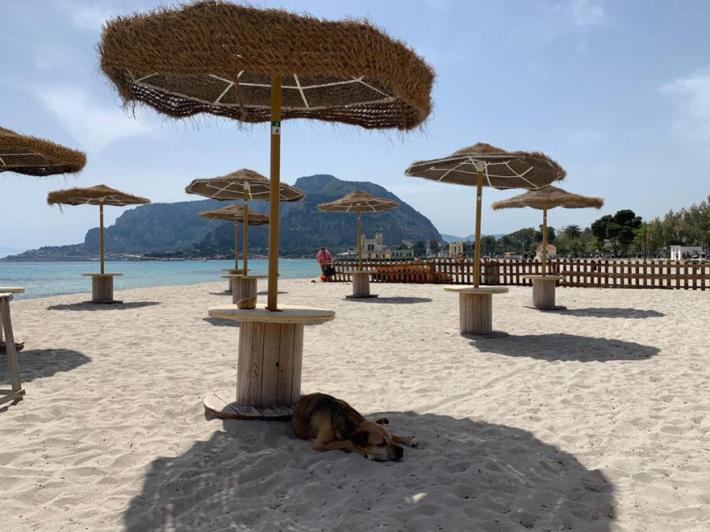  Franceschini, 2 miliardi per il turismo. Liguria, spiagge aperte dal 18