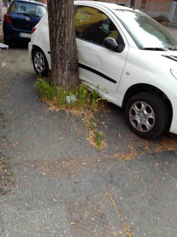 &laquo;Strage&raquo; di auto: individuato e denunciato un 25enne