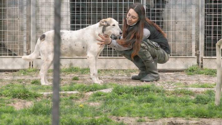 In arrivo nel canile 25 nuovi box