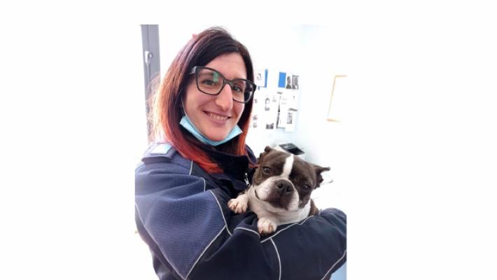 Fidenza, piccola bulldog si perde in stazione: la ritrova la Polfer