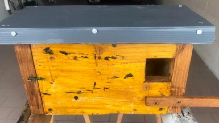 Durante la notte sparisce la casetta degli uccellini