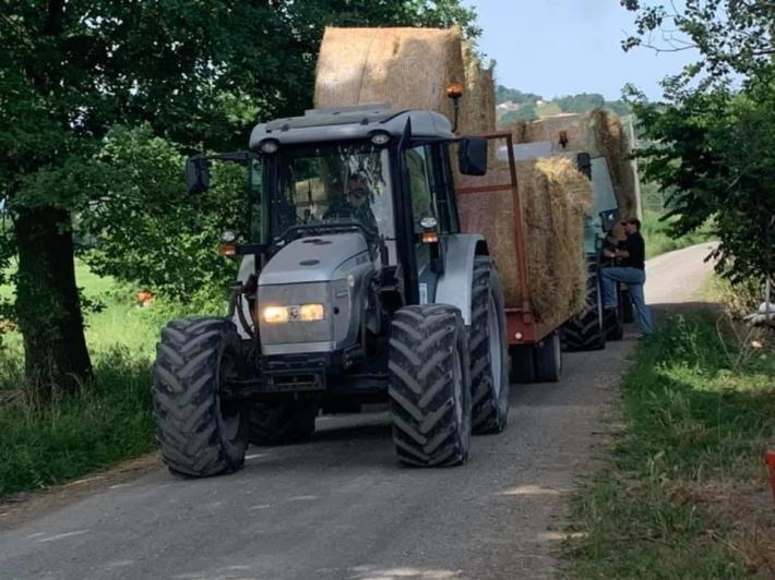 La storia: Scipione Ponte, dopo il rogo i vicini regalano i balloni di fieno