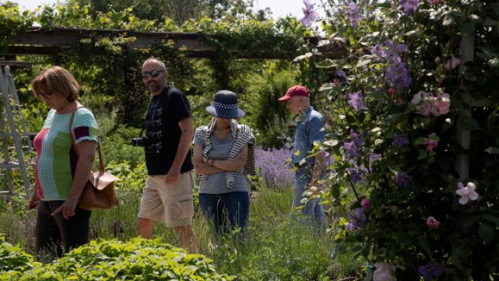 Visite al Bosco Spaggiari e al Davines Village