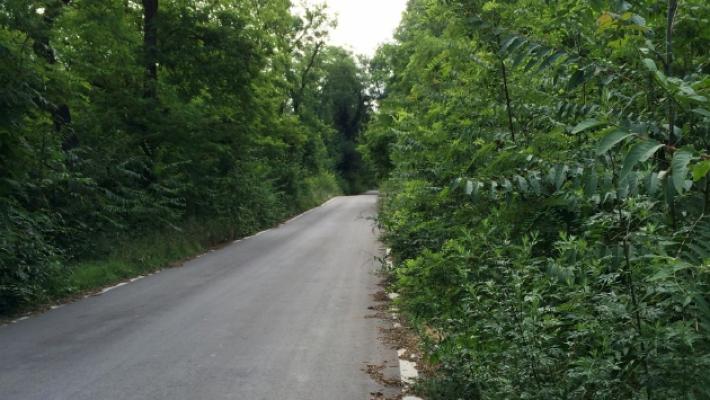 Fritelli: &laquo;Verde pubblico, da oggi squadre di operai al lavoro&raquo;