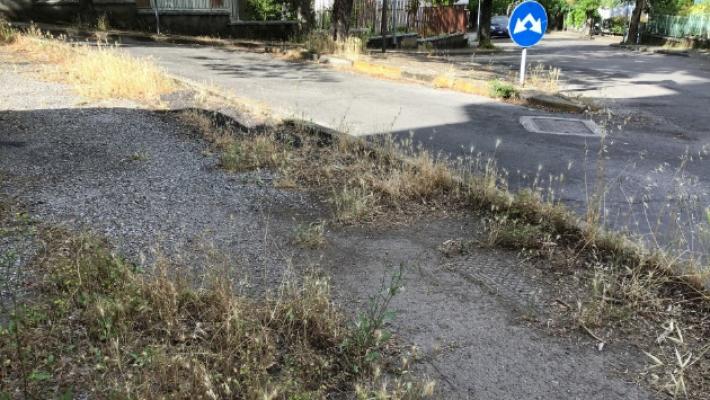 Salso, erbacce e rami sporgenti: tante lamentele dei cittadini