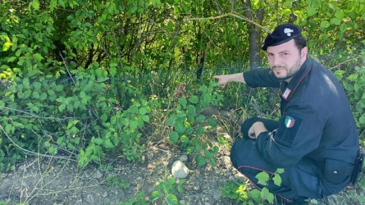 Bimba di 5 anni scompare: ritrovata dal maresciallo del carabinieri