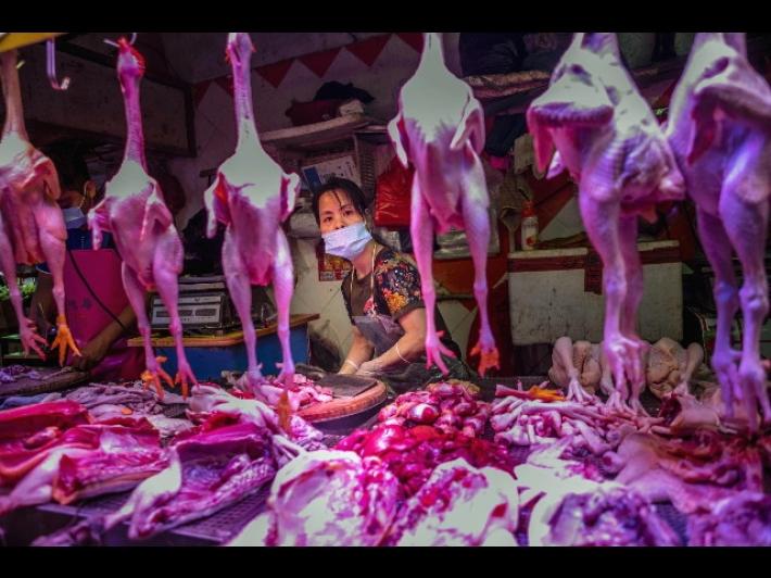 Ci sono nuove prove, la pandemia &egrave; nata dal mercato di Wuhan e dal commercio di fauna selvatica