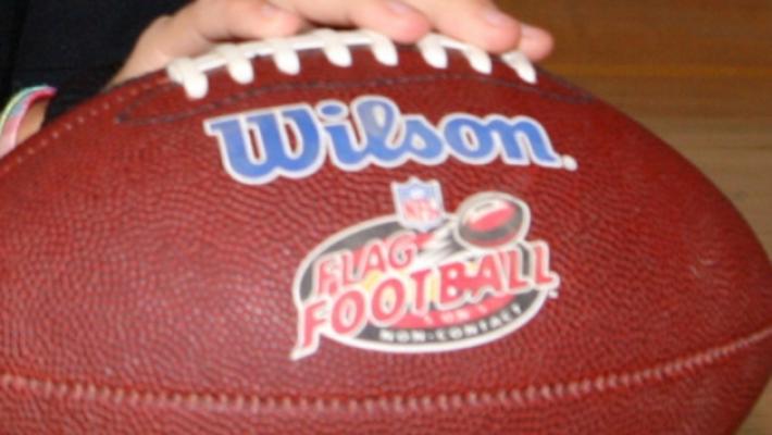 Giovani Panthers insultati lasciano il campo