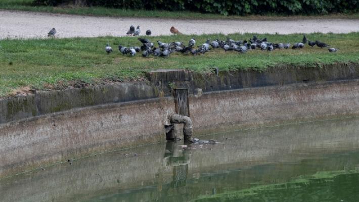 Guasto alle pompe, acqua bassa nel laghetto del Parco Ducale