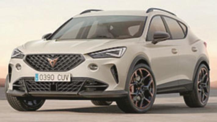 Cupra Formentor VZ5 Taiga Grey