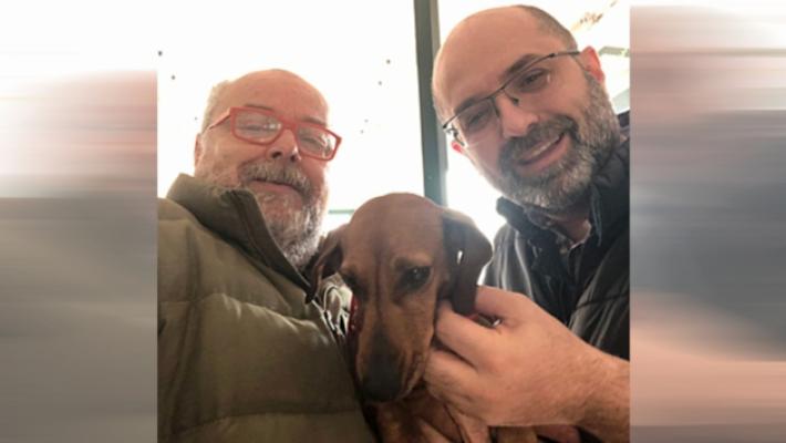 Farmaci veterinari, via libera alla vendita dei singoli blister