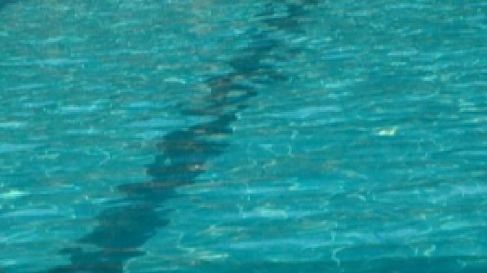 Ragazzo di 16 anni annega in una piscina