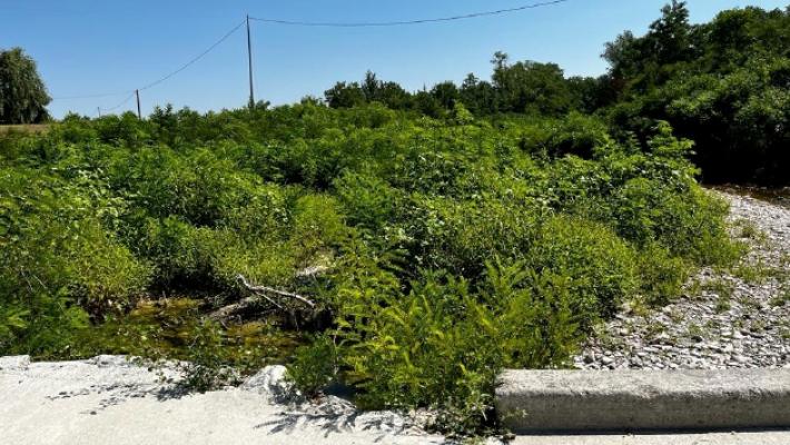 Rami, plastica e rifiuti nello Stirone: si teme per le piene