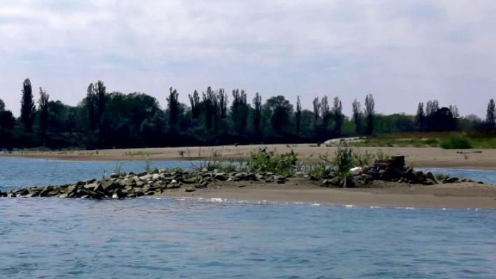 Dal Po riemerge Cella, l'abitato scomparso nel '700