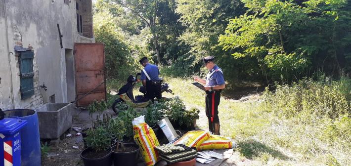 Furti, danni, ricettazione e droga: presi i minorenni terribili