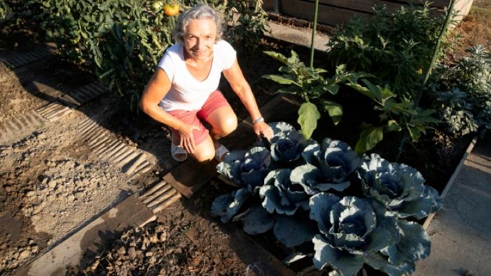 Strada Quarta: il verde oltre il cancello