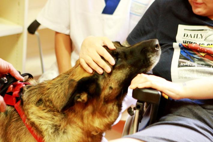 Un animale ci migliora la vita e la salute