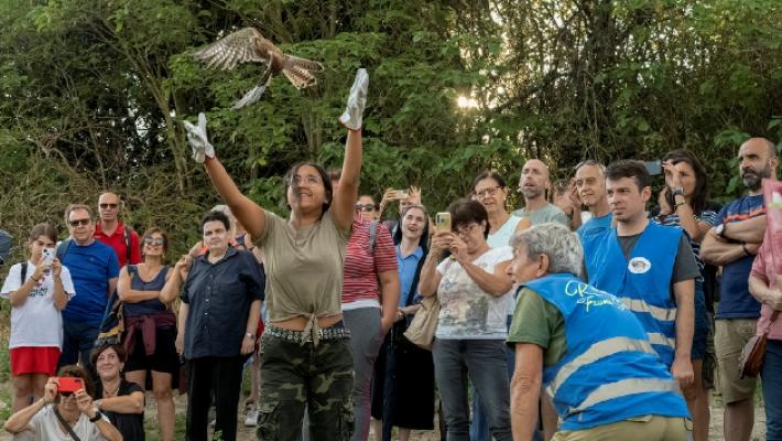 La cerimonia di liberazione dei rapaci: emozione a Cevola