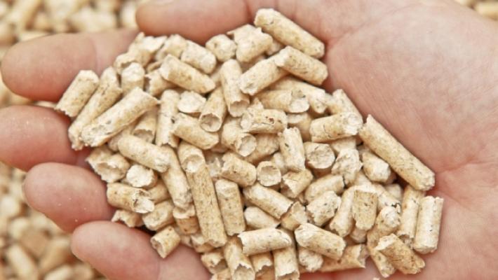 Quegli acconti andati in fumo: la truffa del pellet sbarca a Parma