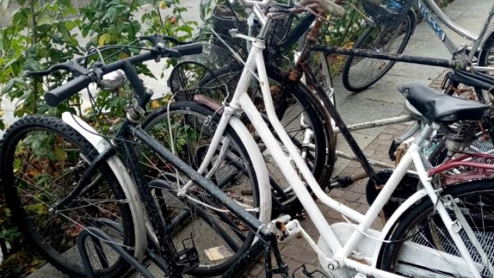 Furti ovunque, vandalismi nel deposito sotto la stazione: la vita dura dei ciclisti fidentini