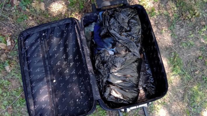 Mistero al Bizzozero: trovata una valigia con i resti di un gatto o di un cane