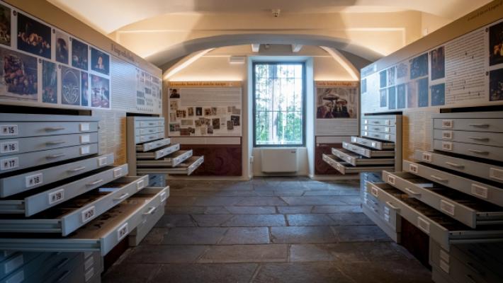 Nuovo Museo del fungo, come entrare in un bosco incantato