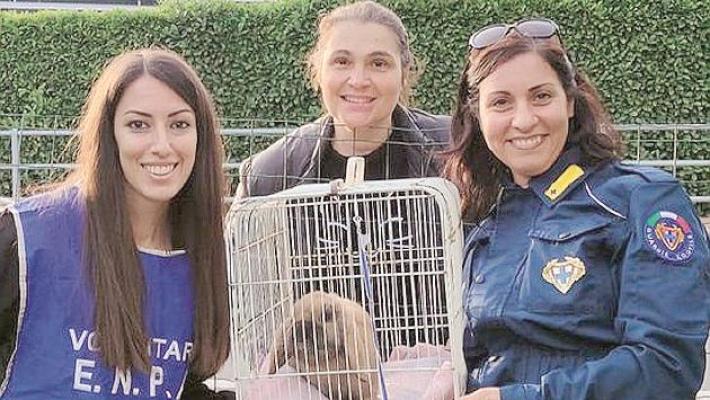 Un coniglio? Meraviglioso Ma non &egrave; un animale per tutti
