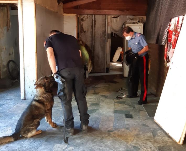 Irruzione con i cani nella pizzeria diventata ghetto