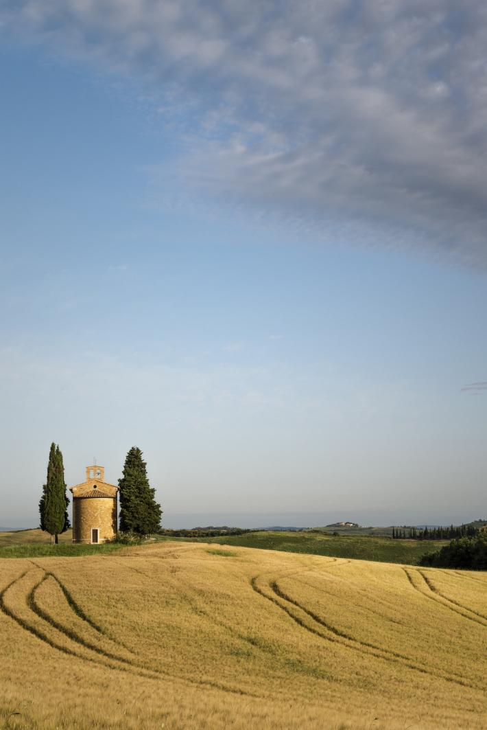 La Toscana: Rimettiamoci in cammino Tra colline e cipressi