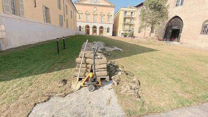 Il &laquo;bagolaro&raquo; di piazza Verdi ha trovato posto alla De Amicis