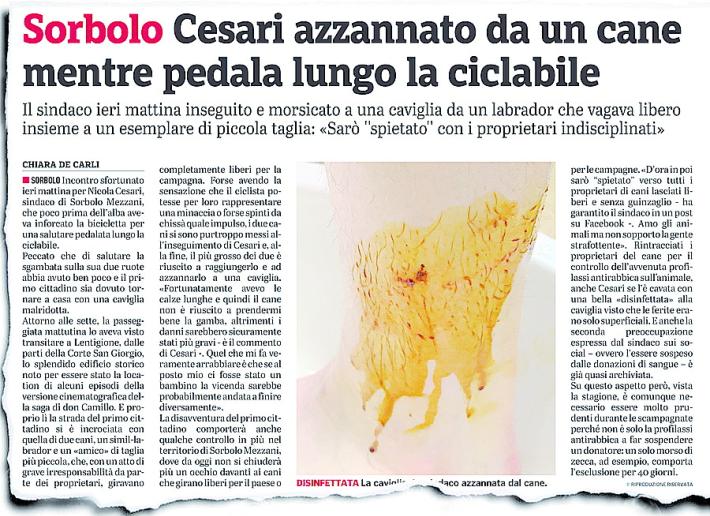 Cani pericolosi: oggi a Radio Parma se ne parla con il sindaco (morsicato) Cesari