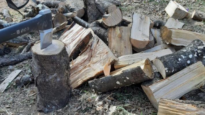 La legna &egrave; cara e scarseggia: in difficolt&agrave; anche i pizzaioli