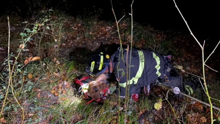 Cane da caccia nel burrone: recupero da film in piena notte
