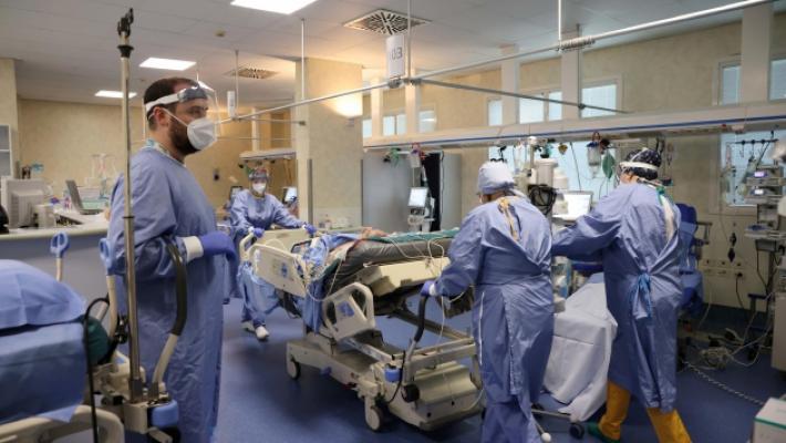 &laquo;Covid, attenti a cani e gatti&raquo;. E la bufala postata da un parmigiano su Facebook finisce in tribunale