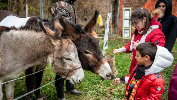 Al Maria Luigia la Pet Therapy porta gli asinelli