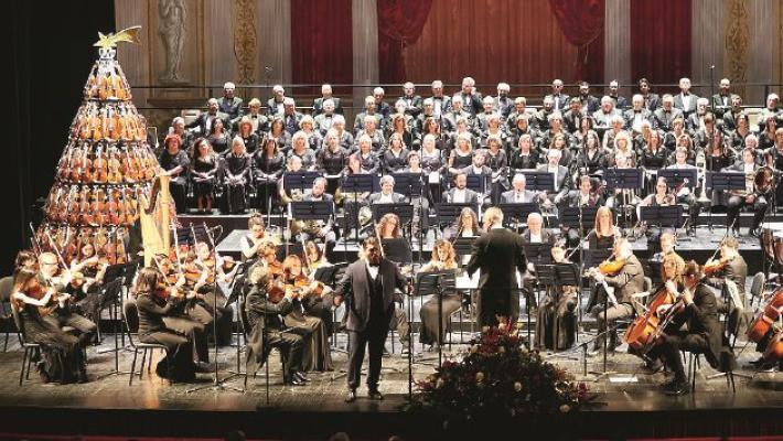 &laquo;Concerto sotto l&rsquo;albero&raquo;, la musica che fa davvero bene