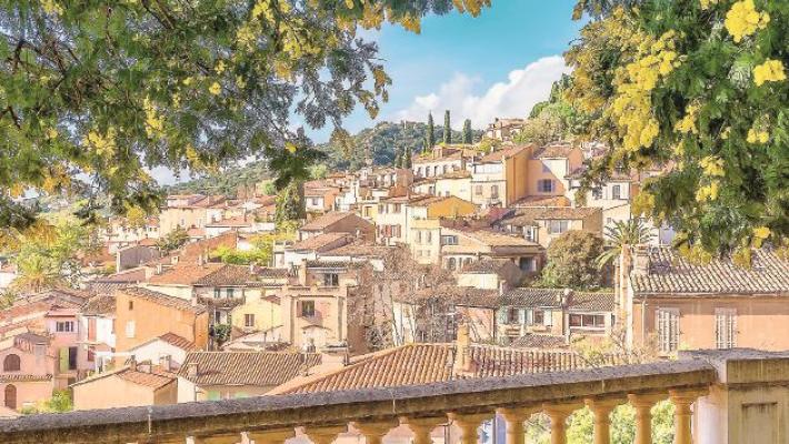 Dove l'inverno &egrave; giallo