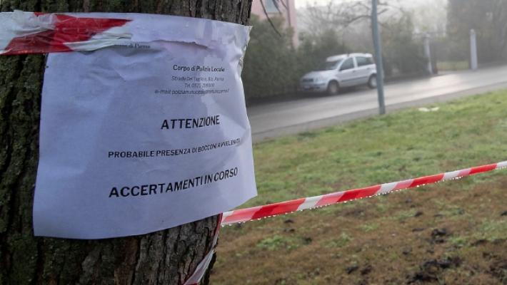 Uccisi due conigli in via Paradigna