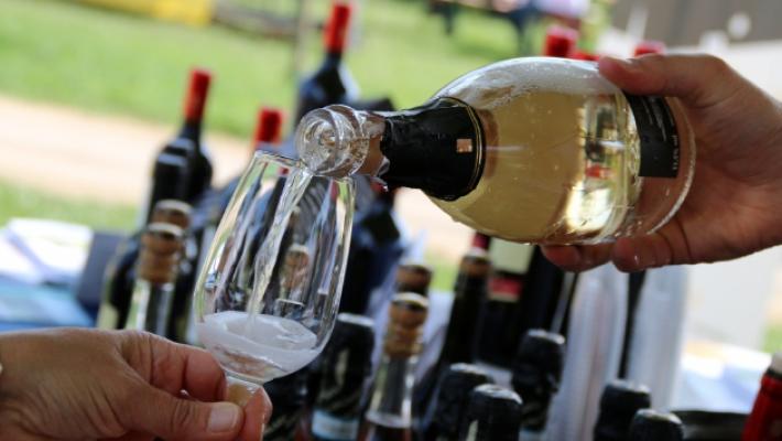 I vini di Parma nelle guide speciali: ecco la classifica