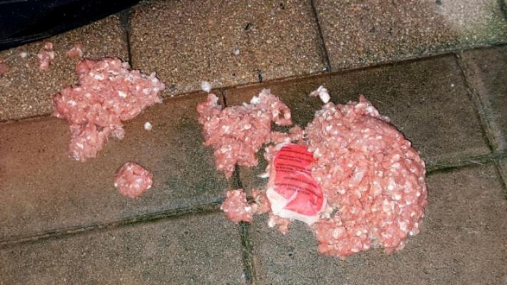 Basilicanova, polpetta avvelenata nel cortile. In salvo il cane