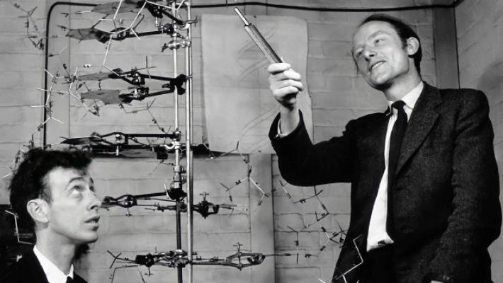 Dna: 70 anni fa la scoperta della &laquo;doppia elica&raquo;, il codice della vita