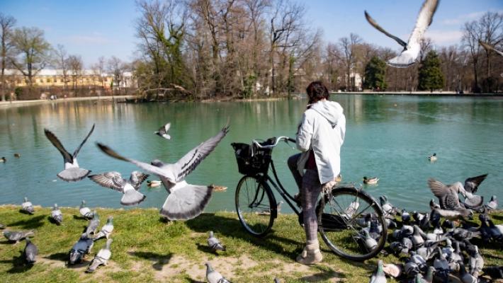 Animali morti al Parco Ducale: scatta l'allarme bocconi avvelenati, ma i cartelli di avviso spariti?