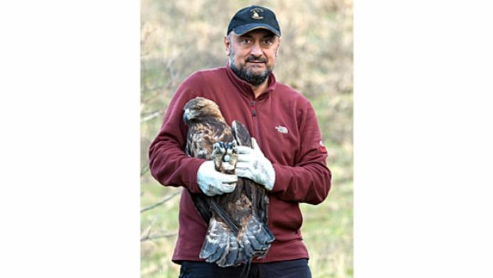 L'aquila impallinata ha ripreso a volare alla Pietra di Bismantova