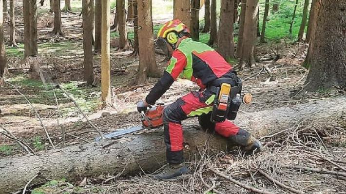 Manuel Campini, primo istruttore forestale: &laquo;Cos&igrave; curer&ograve; i nostri boschi&raquo;